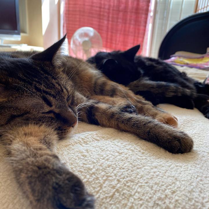 C0ca9e19 67ee 43c0 a387 2d10dd5d416f 1600942328290