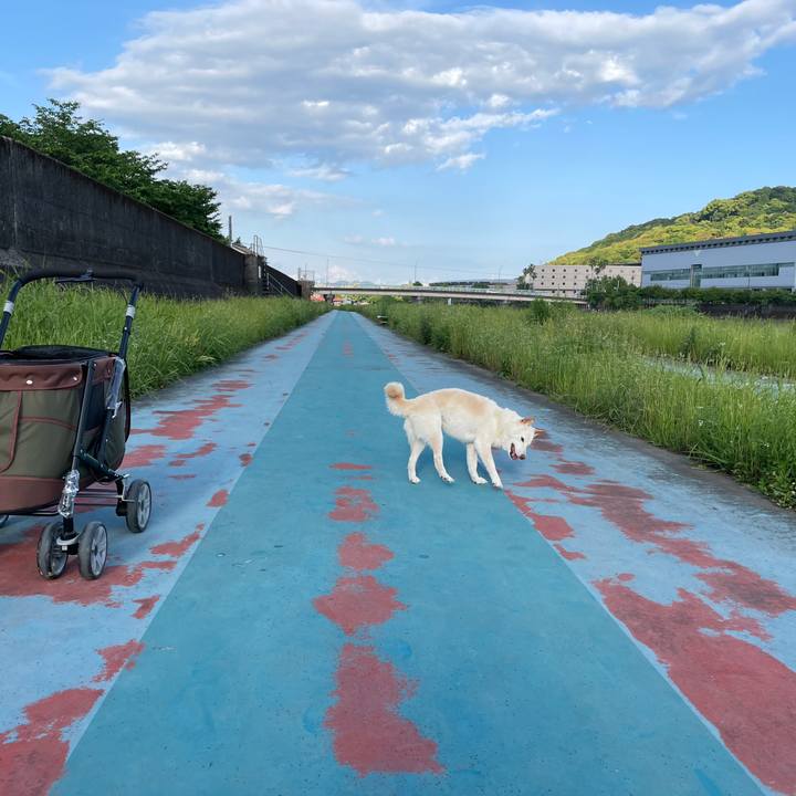 C0cab168 7daf 4711 9579 28f9910e84c5 1652526122249