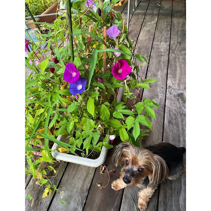 C0cabb27 2ed5 4a9f b009 17b8befd22c8 1725833951437