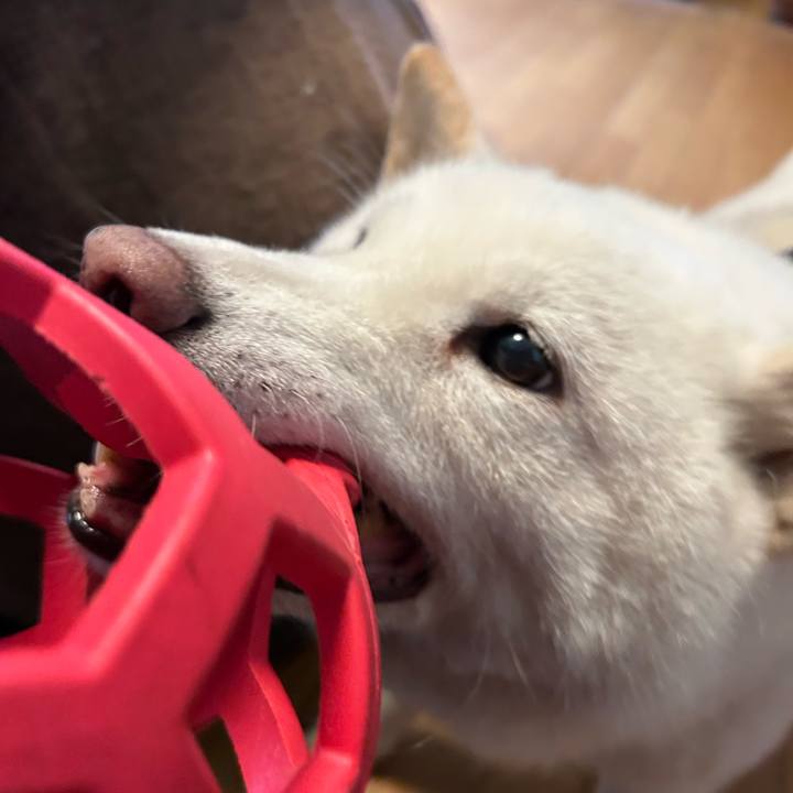 C0cabf15 0a6d 4bed 8985 b199183f21ba 1752356655222