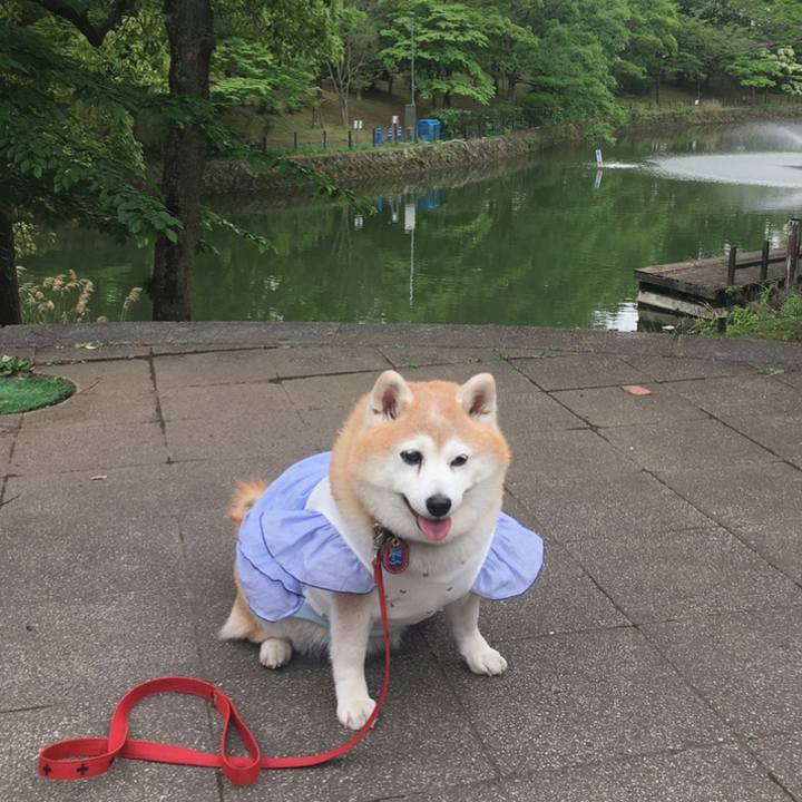 C0cae69f f000 4b55 83ce 5e4728b447d0 1634542315436