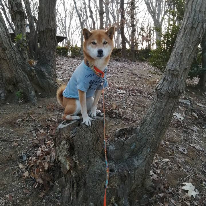 C0cb045b 58d3 48a1 b053 1f442fa49863 1610091821597