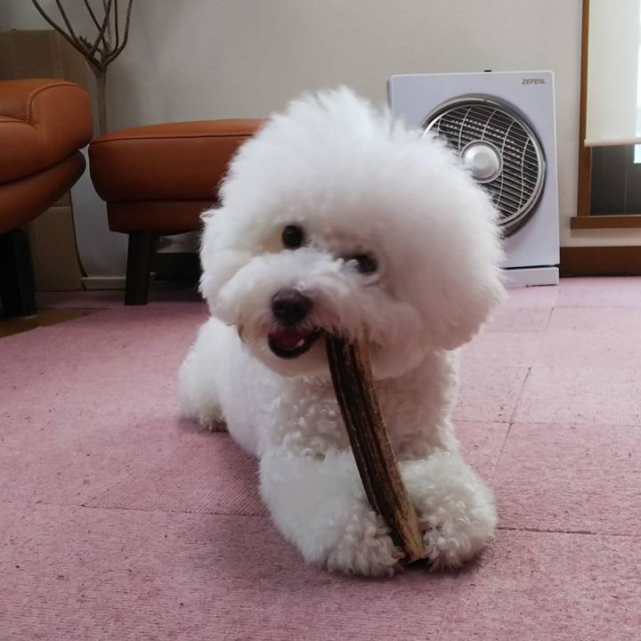 C0cb1f7b ba46 4e94 af26 fe03546ce1e4 1534319185445