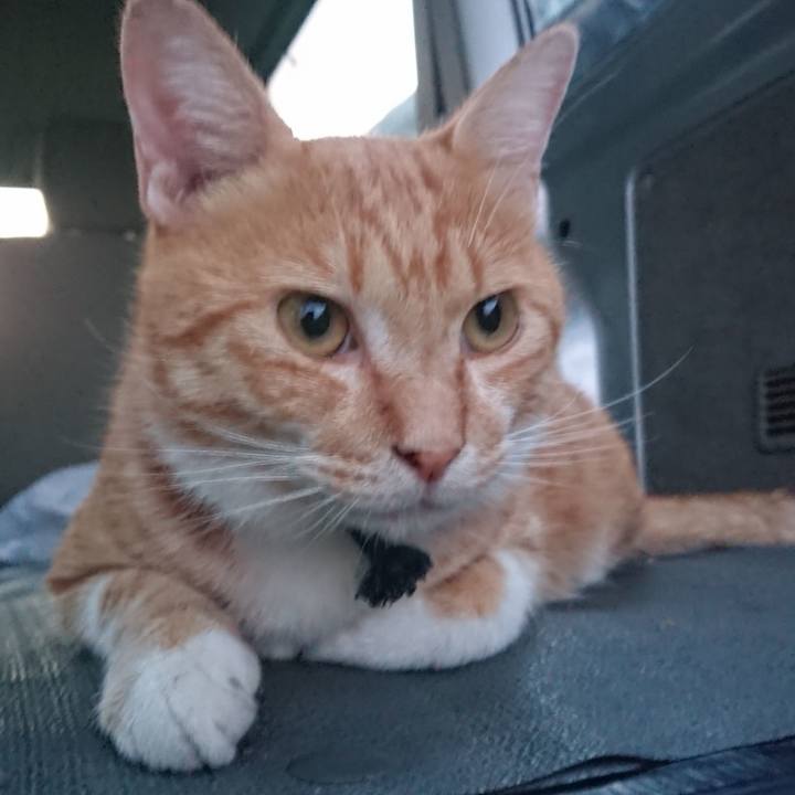 C0cb60f8 a2d8 4950 aea0 0a12b348cc28 1566812790039