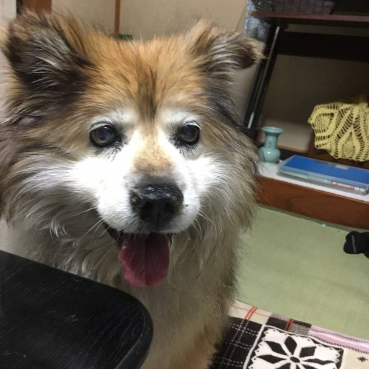 C0cb73d1 a22a 4c3a a24c 37b006e29b53 1558429128419