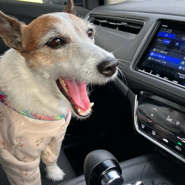 C0cb78fb ac85 4933 bc2e 80036829d1d2 1671491999537