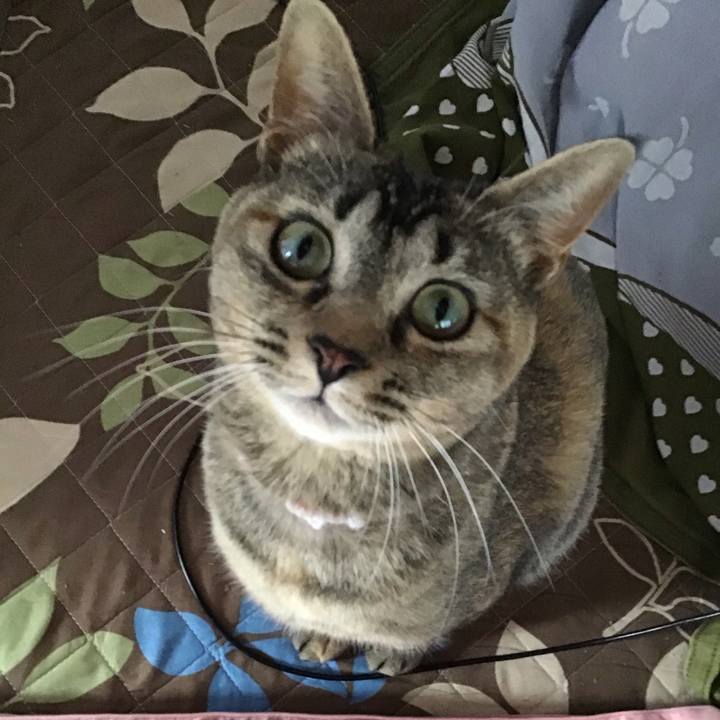 C0cb7b35 e8f4 4431 b3bb e37df38285e6 1587975364455