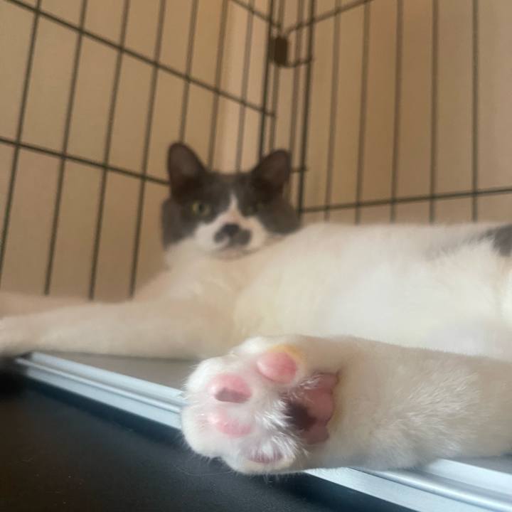 C0cb9ea1 e57c 4a0e 9aa7 a4c5a64dec5b 1723764867623