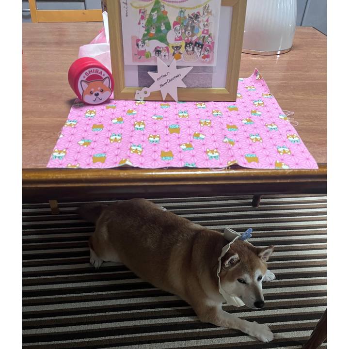 C0cba7bf 3625 4b97 ac78 4264d6746afd 1701425479677