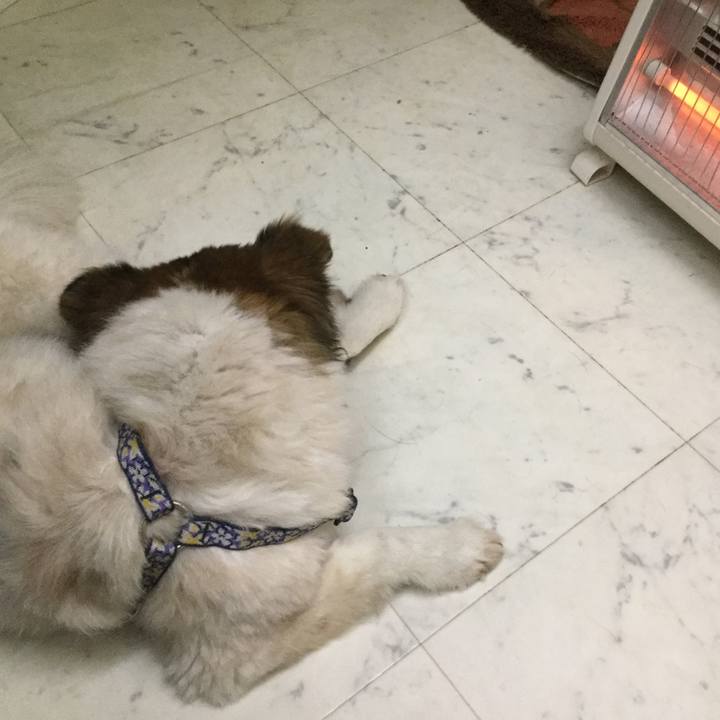 C0cbbbca 1d65 4029 9bd3 f55564a90745 1609336072825