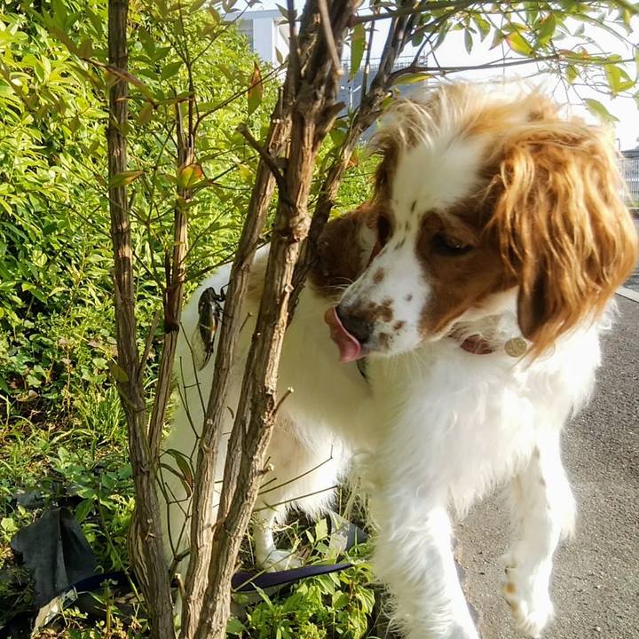 C0cbee4c c679 44cb b1a9 76cf62a11d33 1564659354581