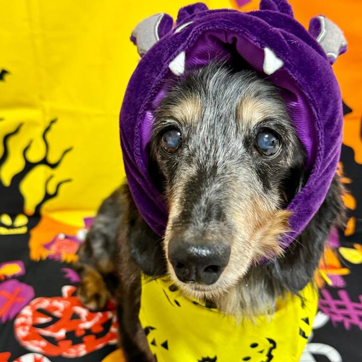 C0cc33cf 8349 4a2c ada6 e9afb7ea0bfc 1761912195639