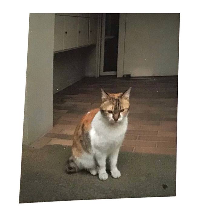 C0cc6b63 c134 4ab2 8d93 a2c32a3942f1 1639918280501