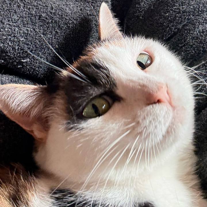 C0cc82b1 4b2d 491a 8767 3fb5b698a10d 1768612424439