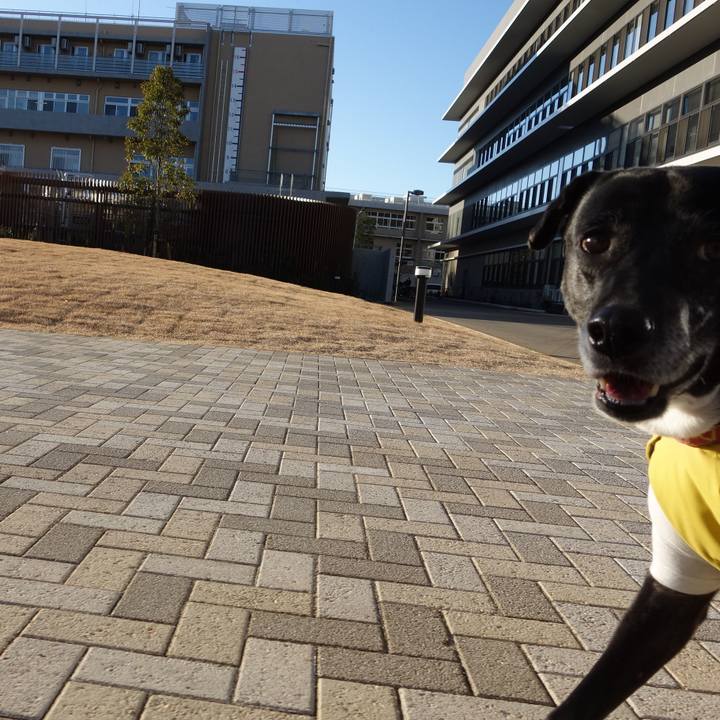 C0ccef54 9a5c 49f3 a030 b7a0ff233446 1738889031087