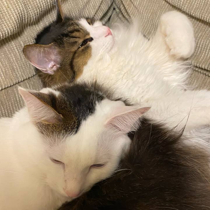 C0ccf71a ab11 4620 9d70 dba6a9da802e 1578267214679