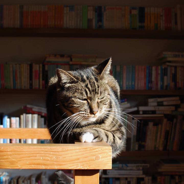 C0ccffb4 5b45 4ede b282 778939ea79d7 1572653643334