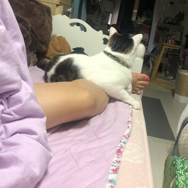 C0cd9051 6df5 413b 9cd4 2e548105eff9 1598239070140