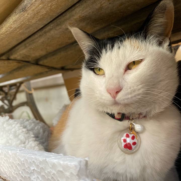 C0cdc2c9 9c34 424a 9086 19b25e4d10c8 1642500587636