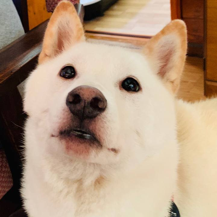 C0ce06c5 89e7 4eea bb4e d734407229fd 1565907331319