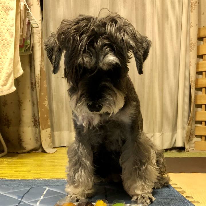 C0ce17f6 b38d 483c b0b0 1688be187f4a 1662813196397