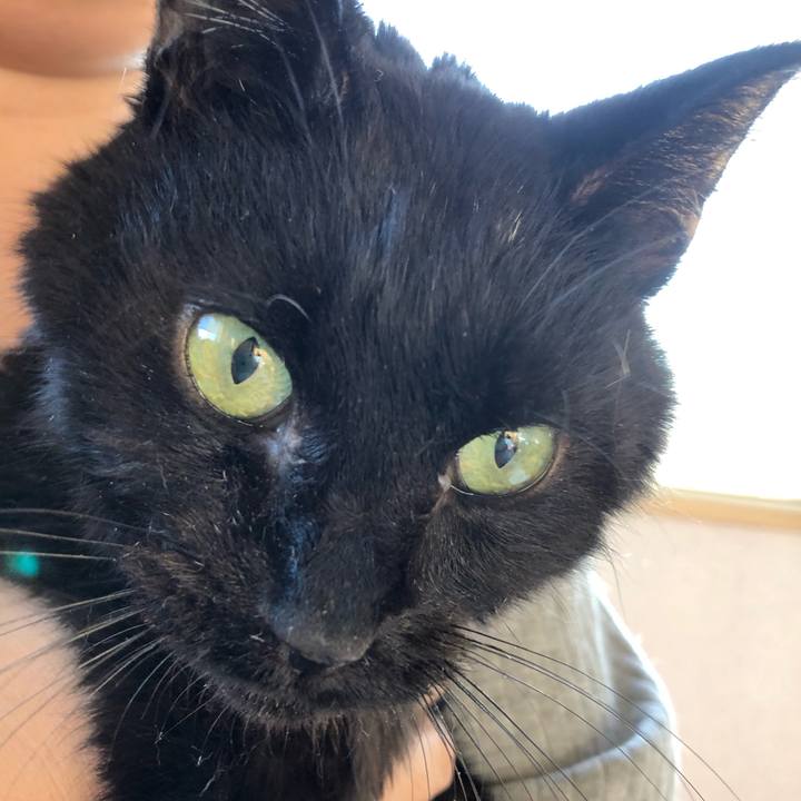 C0ce6b6d 86d2 4fe1 bc5f c51a63e89cd8 1557695319981