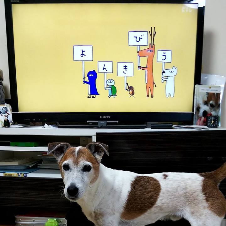 C0cec3a5 5312 4070 8bbc 6cfbfcace7fa 1559254764872