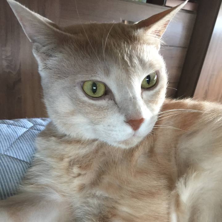 C0cef842 1817 4f64 ad21 2e0d0961e27e 1659135762348