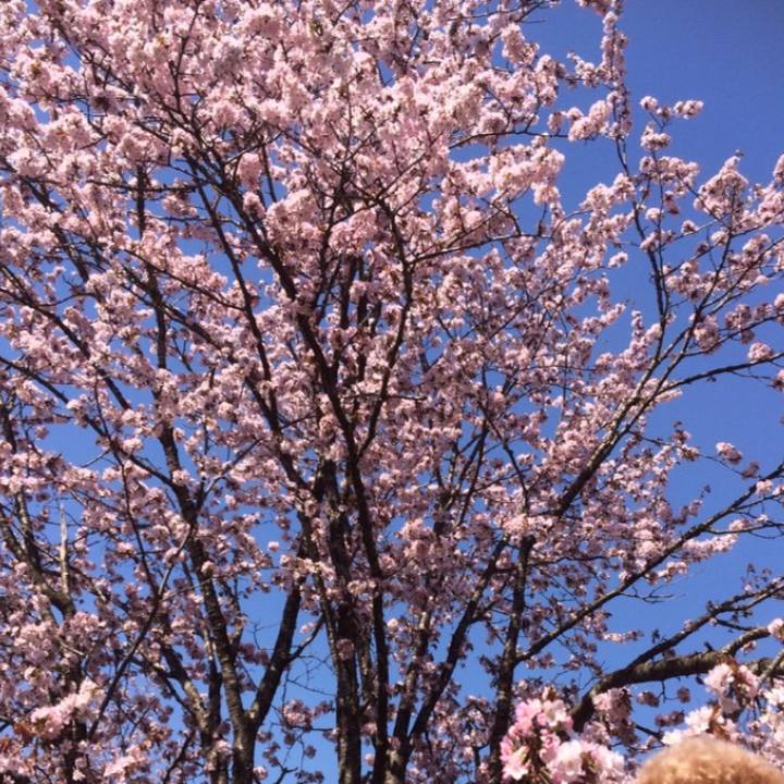 C0cf9322 d0bc 4b14 bdbe 47e1c3512a05 1558275730978