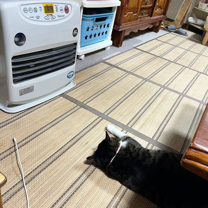 C0cf963c d309 43a7 b72e 078efa1893e8 1775518859101