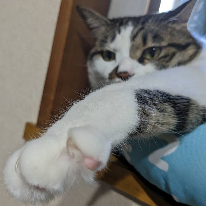 C0cfd250 03a7 4909 bbc7 b364825889f0 1688860187439