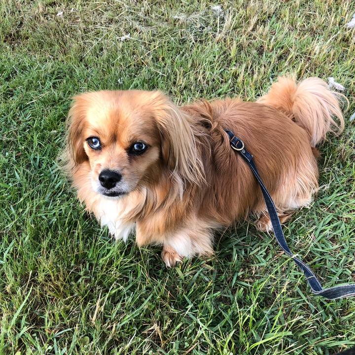 C0cff95c 37b7 4ebc bbb1 4d84a7421b87 1558596309456