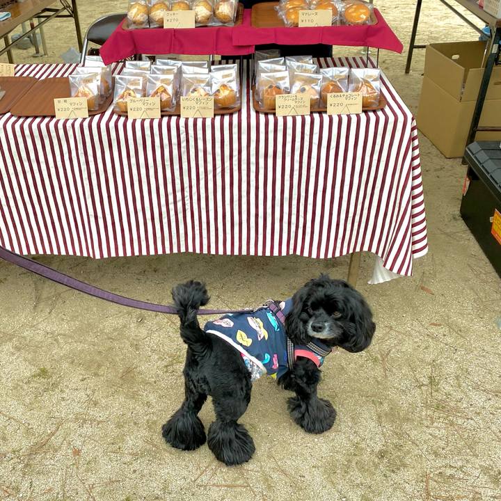 C0d0176a ce7b 4b27 b854 4fba737b0f7e 1679369196306