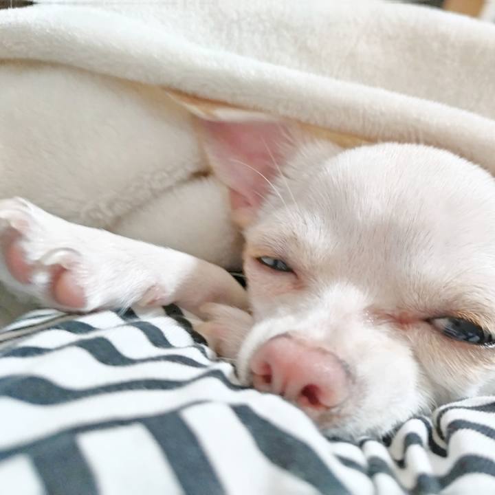 C0d01dcc 50b8 4234 831a bba85f226db9 1713577940939