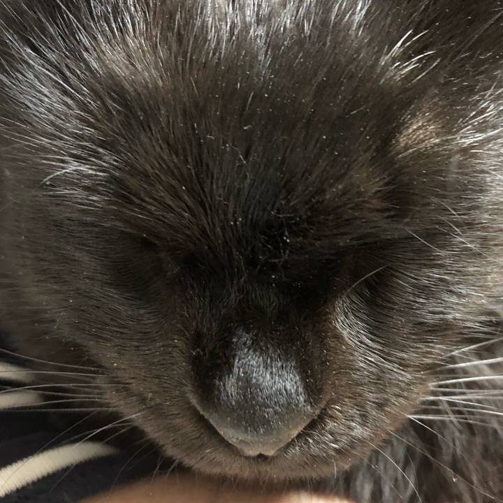 C0d02114 6168 4fa0 8377 bdd4c0e1cb77 1590232833826