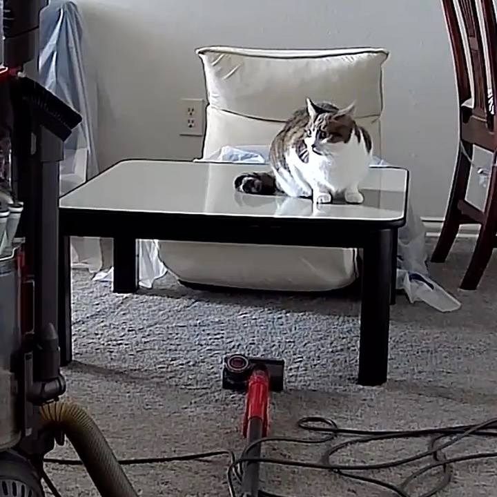 C0d0480c 10a4 4475 bbdb 27522a4ea7c3 1769556218021