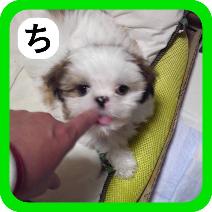 C0d0a77f a11b 497e af81 5b85a32b31a9 1514982196397