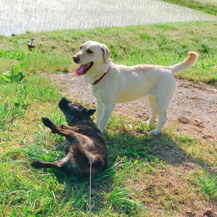 C0d0bf47 4e3a 4403 b129 301c7c13cfaf 1527290583395