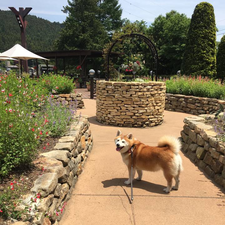 C0d0d67b 24cb 4712 9d81 46609cd45ba9 1558929108154