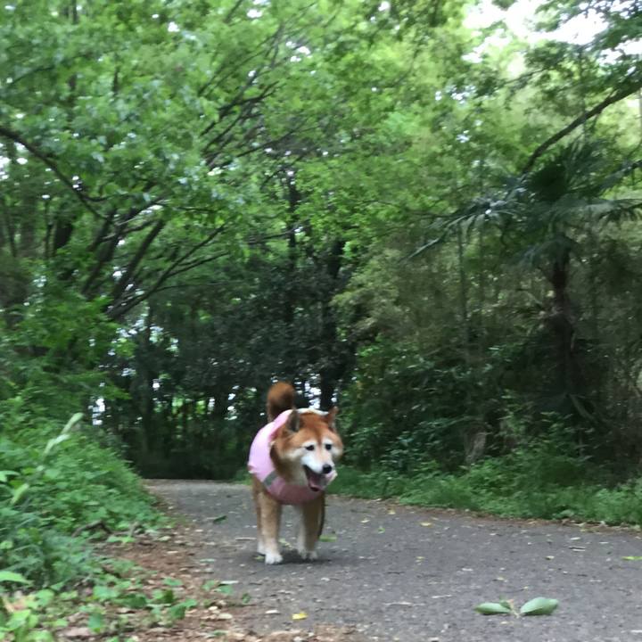 C0d103bb e9df 4bff b2d5 47b935c3ce7a 1620196795983