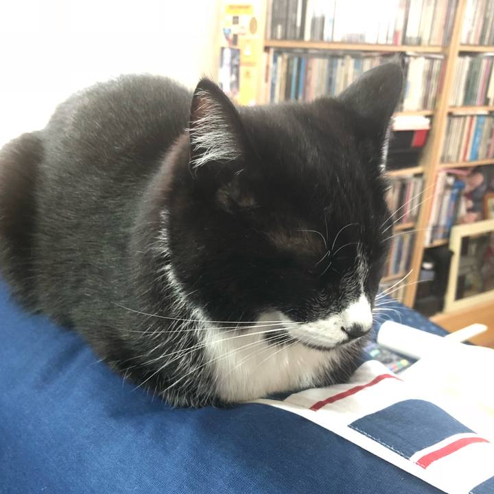 C0d112bf b54e 4422 80c3 016c234d6fd5 1521863403839