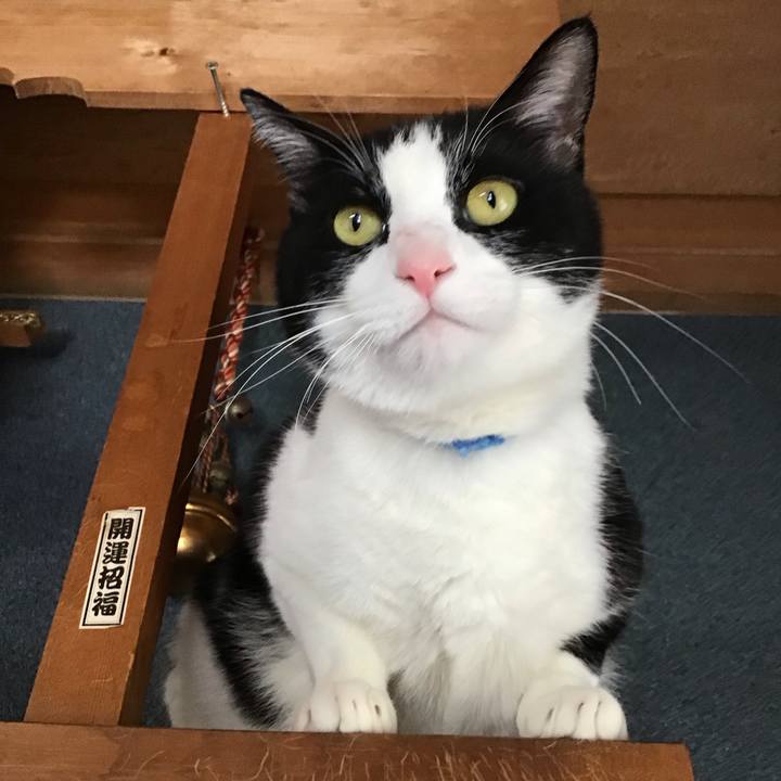 C0d1192c bdac 46d0 b8d7 a743d1190d4a 1709554993426