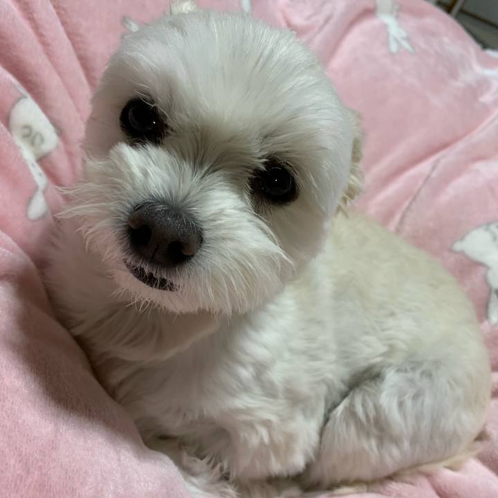 C0d128b9 68b7 44f5 b4ba 17899a19beb3 1638788946237