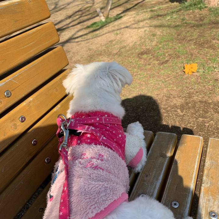 C0d13278 7478 4956 b8c2 31d8dae40e2a 1676701563439