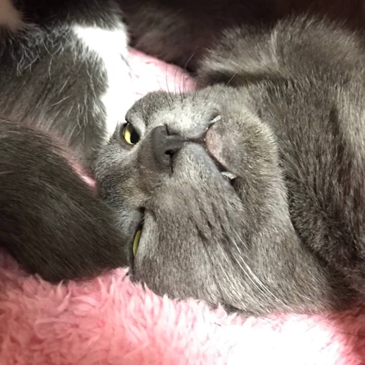 C0d1359f a310 43c2 b9e6 111f93a889f5 1523288129097