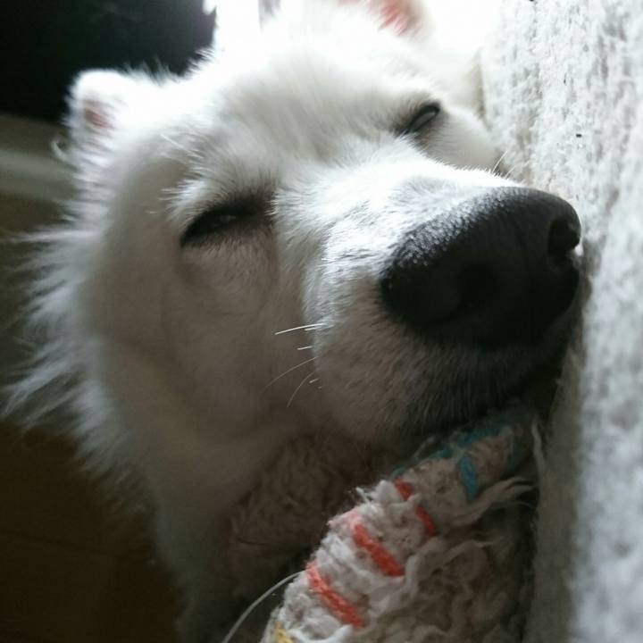 C0d14858 83bc 4856 b271 7102e49da582 1508459254404