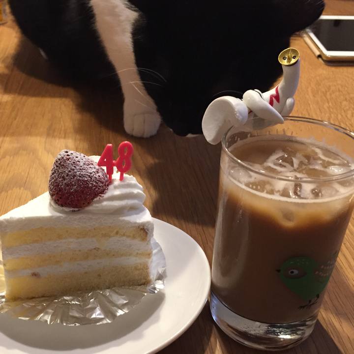 C0d15357 5842 4eb7 b631 2ed6d4fa51c1 1532225833524