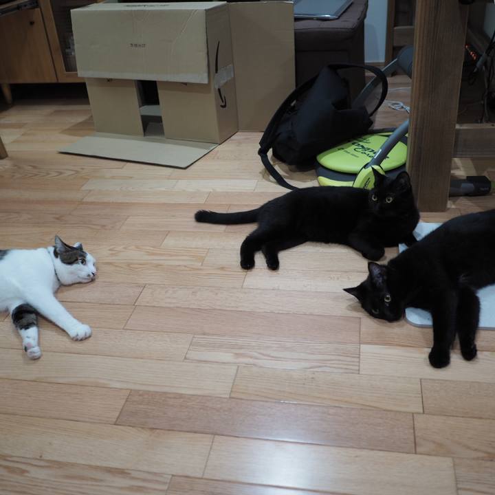 C0d1798e 32f9 4740 9e93 eb6367defc46 1536104753791