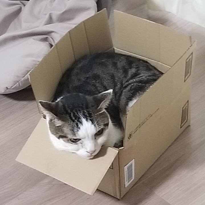 C0d17ca4 c2b4 4cb8 b528 092e0474d104 1621374047953