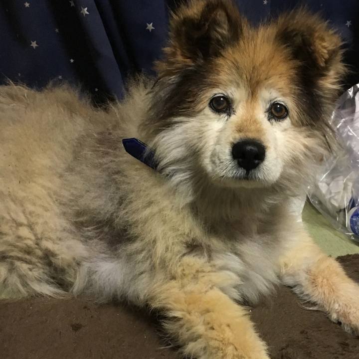 C0d19201 96f9 40c0 803c 76afa7830772 1641886363216